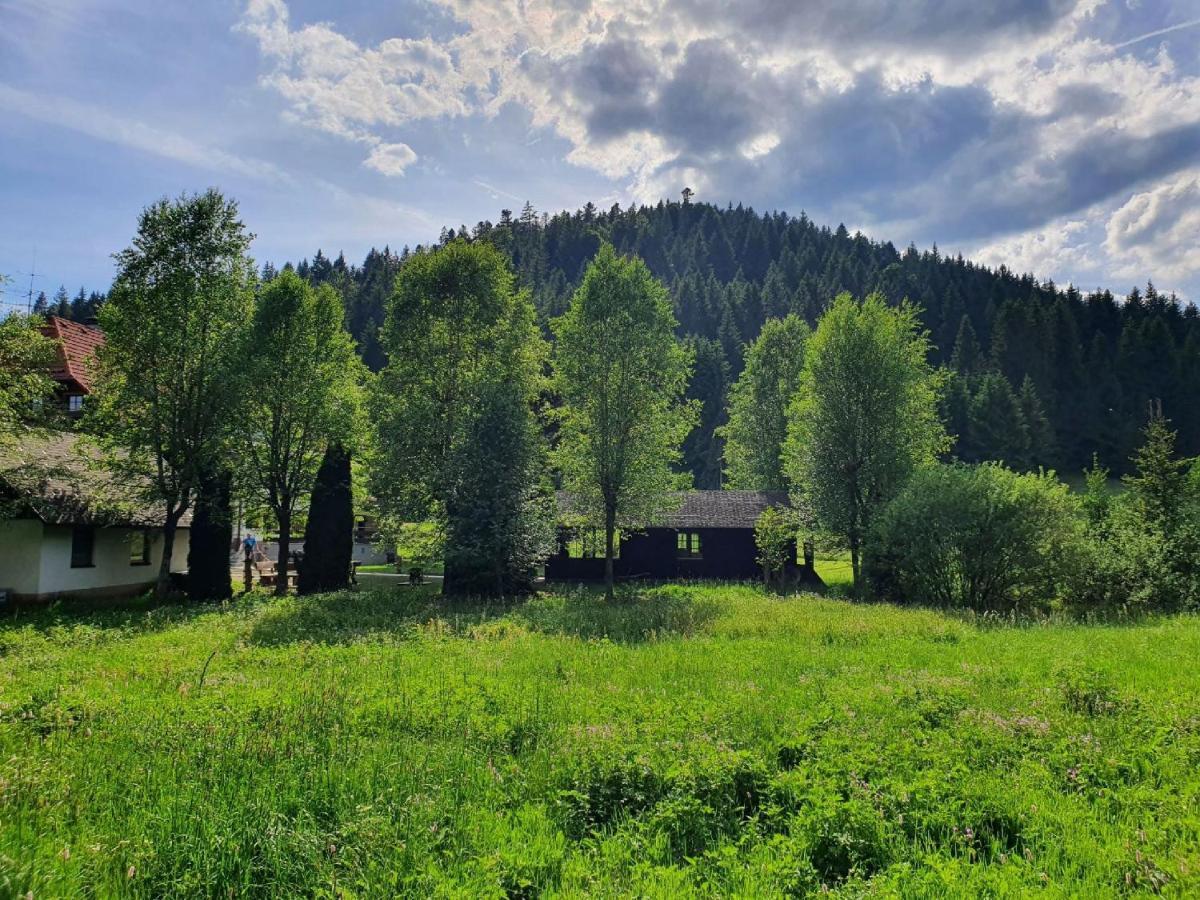 Finkenhof Ξενοδοχείο Schluchsee Εξωτερικό φωτογραφία