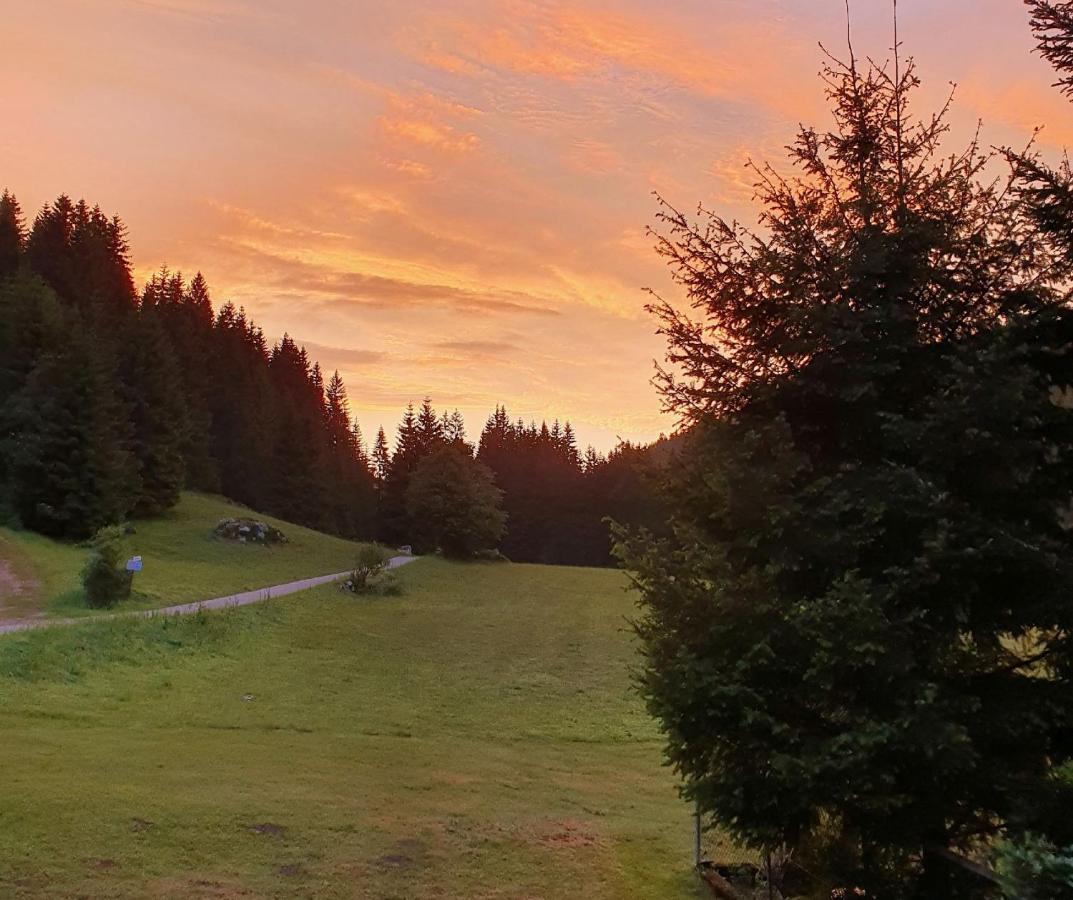 Finkenhof Ξενοδοχείο Schluchsee Εξωτερικό φωτογραφία
